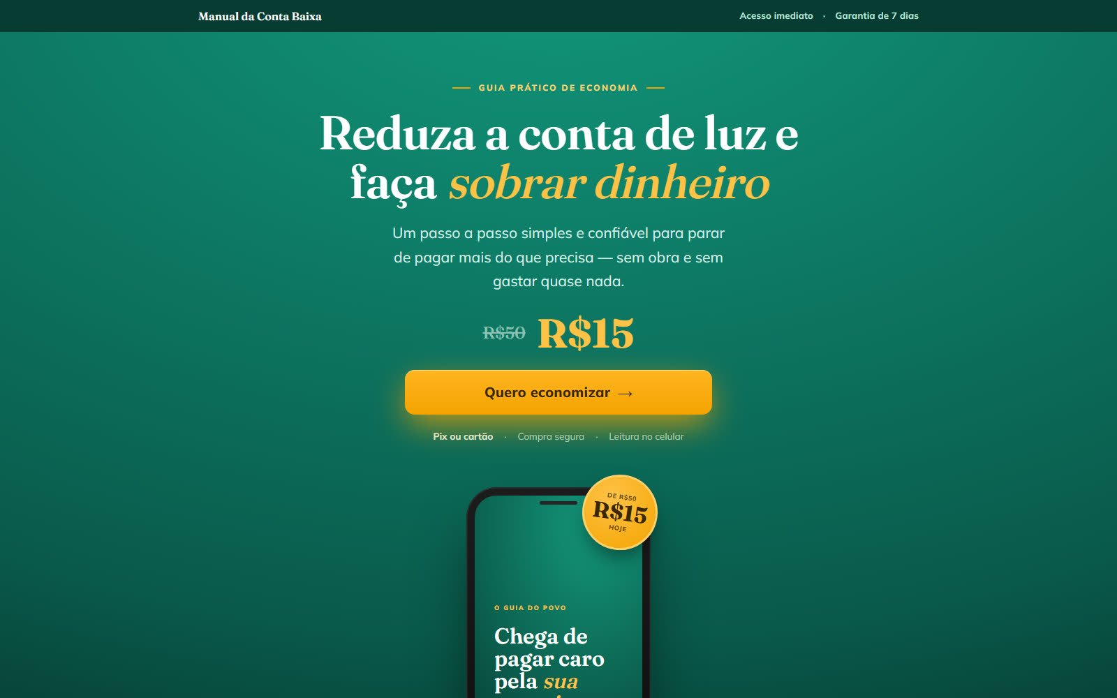 Preview do site Manual da Conta Baixa